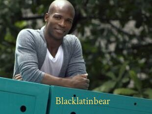 Blacklatinbear