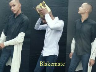 Blakemate