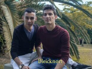 Bleicknort