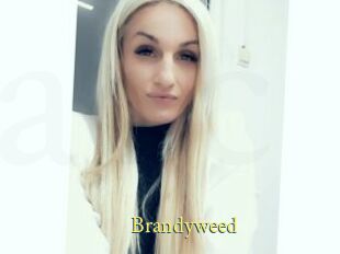Brandyweed