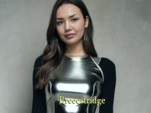 Breeestridge