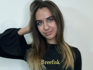Breefisk