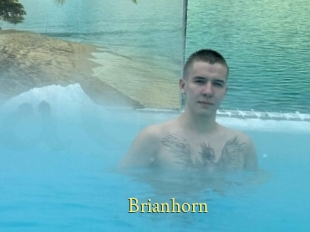 Brianhorn