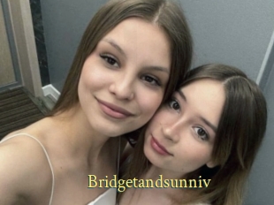 Bridgetandsunniv
