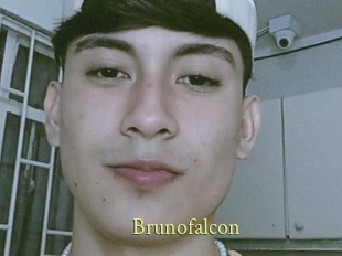 Brunofalcon
