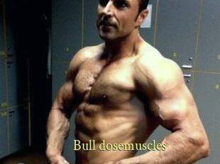 Bull_dosemuscles