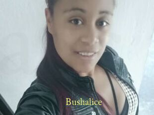 Bushalice