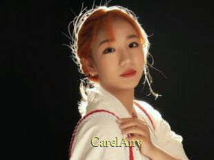CarelAny
