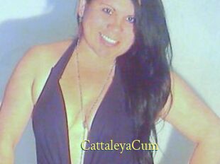 CattaleyaCum