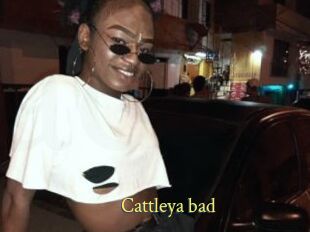 Cattleya_bad