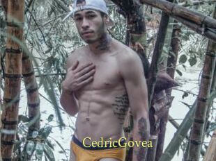 CedricGovea