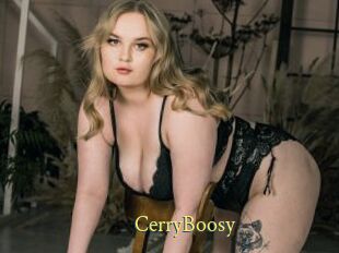 CerryBoosy