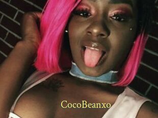 CocoBeanxo