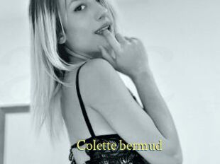 Colette_bermud