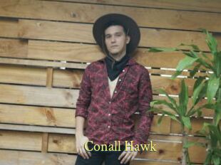 Conall_Hawk