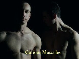 Curious_Muscules