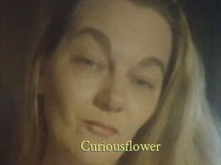 Curiousflower