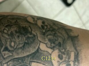 C1234