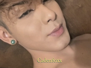 Cadenfoxx
