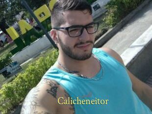 Calicheneitor