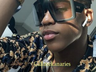 Callmekanaries