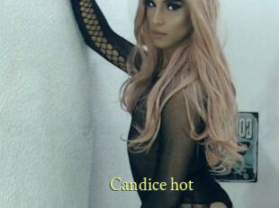 Candice_hot