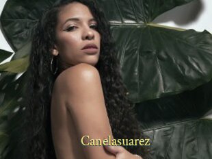 Canelasuarez