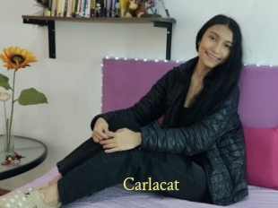 Carlacat