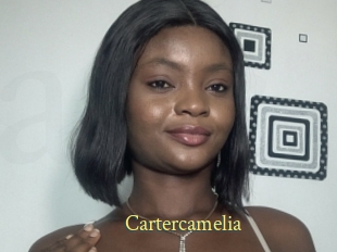 Cartercamelia