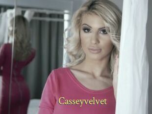 Casseyvelvet