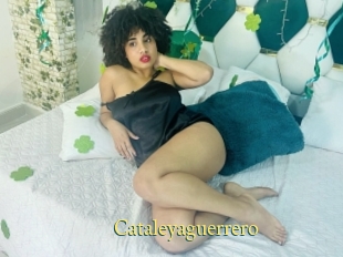 Cataleyaguerrero