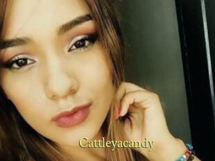 Cattleyacandy