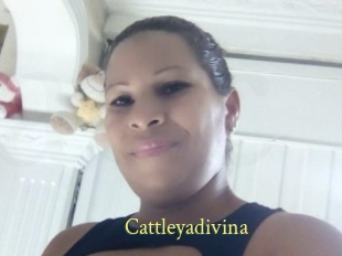 Cattleyadivina
