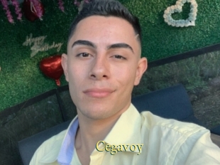 Cegavoy