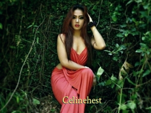 Celinehest