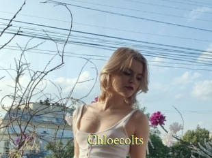 Chloecolts