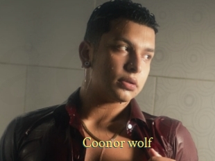 Coonor_wolf