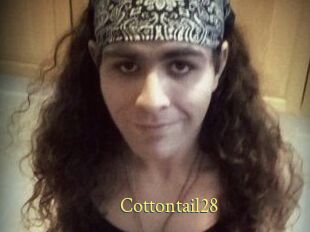 Cottontail28