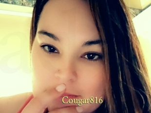 Cougar816