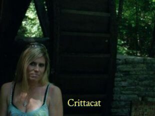 Crittacat
