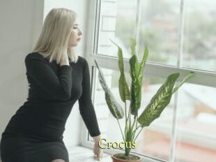 Crocus
