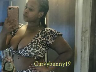 Curvybunny19