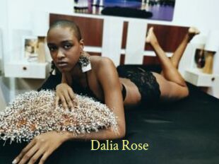 Dalia_Rose