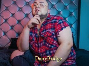 DanyBridge