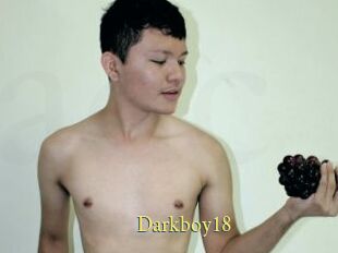 Darkboy18