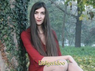 Didgeridoo