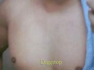 Diggstop