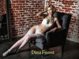 Dina_Forest