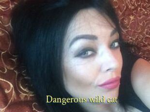 Dangerous_wild_cat