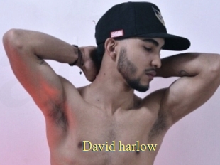 David_harlow